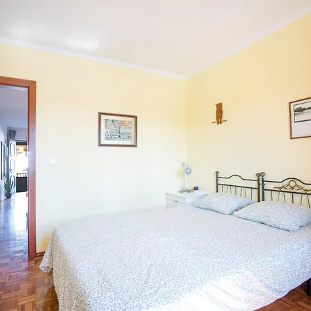 Wolf * Lourinha (Lisbon)